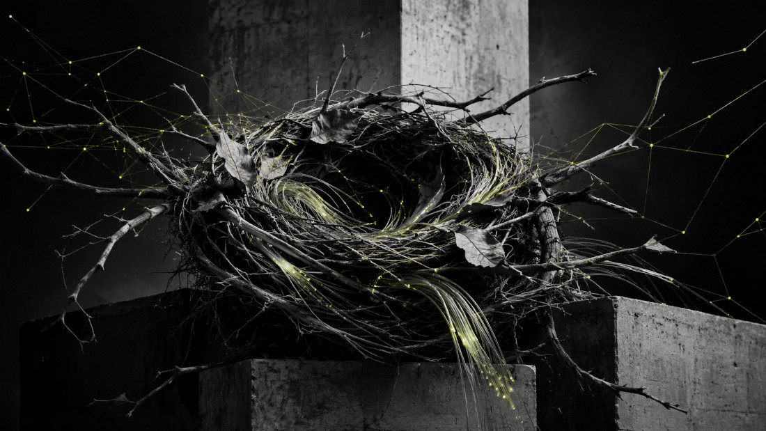 abstract nest and fiber optics