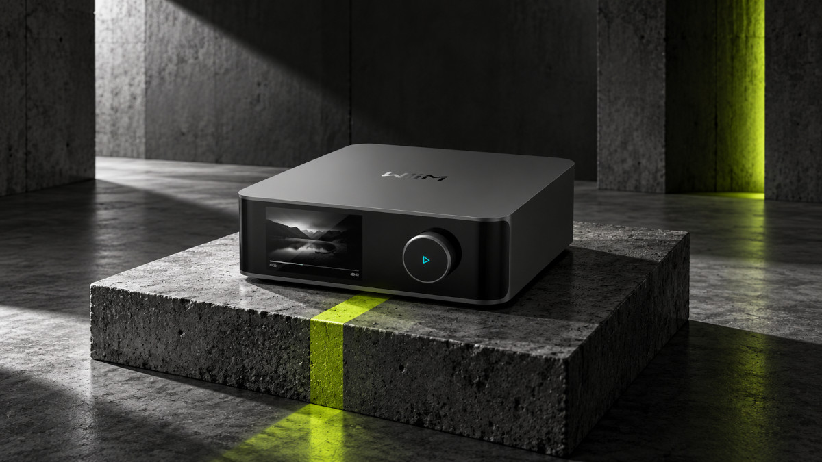 wiim amp in stand